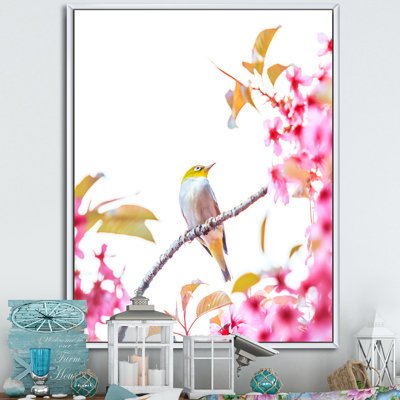 Oiseau sur une fleur de cerisier - Photographie sur toile