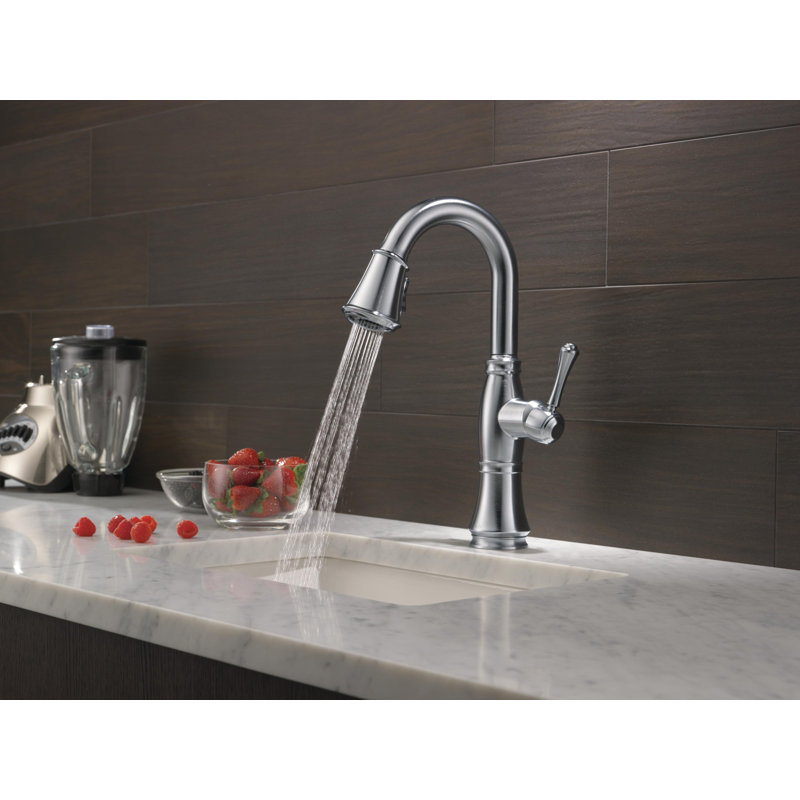 Cassidy Bar Faucet with Pull Down Sprayer, Lumicoat Arctic Stainless