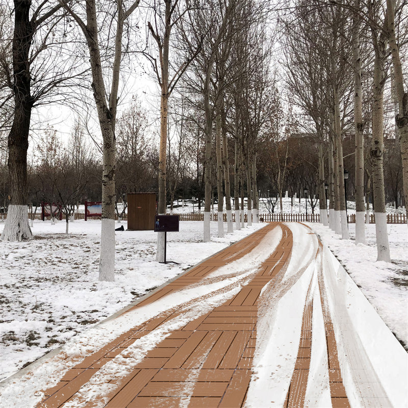 Carreaux de terrasse en plastique emboîtables, Bois robuste