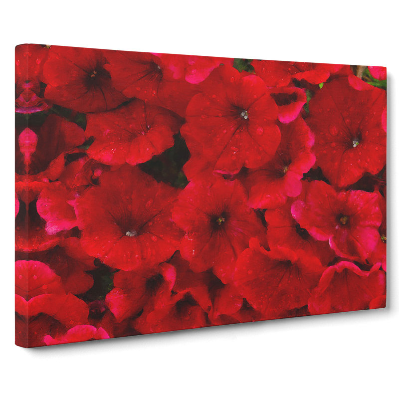 Seeing Red Flowers - Wrapped Canvas, 40cm H x 60cm W x 3cm D