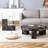 Detachable Double-Decker Coffee Table with Stylish Design and Flexible Space Utilization for Various Scenes