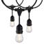 24Ft - LED String Light - Includes 12-S14 Bulbs - 2000K - 120 Volts