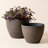 Eldwun 2 Piece Resin Pot Planter, Indoor/Outdoor Garden Flower Pots-801690090-801690092