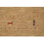 Tapis oriental à petits animaux Gabbeh 4
