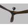 Obsidian Ceiling Fan