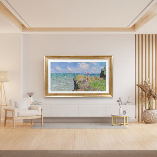 Cadre TV satiné pour téléviseur Samsung Frame