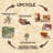 Ecofire Firestarter-49472505