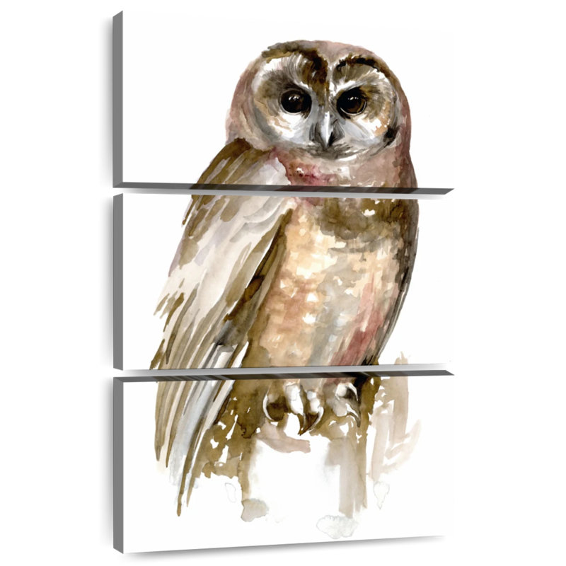 Chouette aquarelle Brampt II
