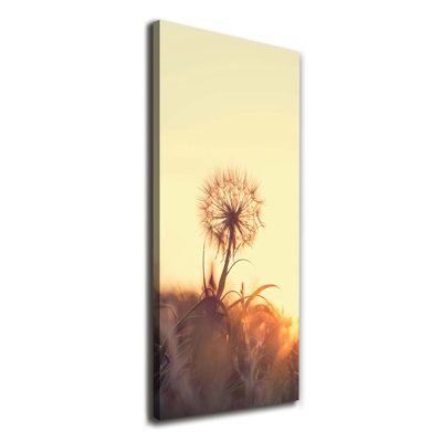 Dandelion - Wrapped Canvas Print