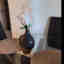 Customer photo 4 of 5