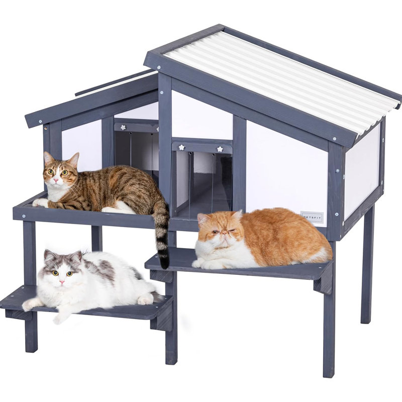 Maison d'extérieur pour chats pour chats multiples