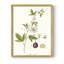 Passion Passion Trio II, reproduction encadrée - bois massif-311096761-311096767