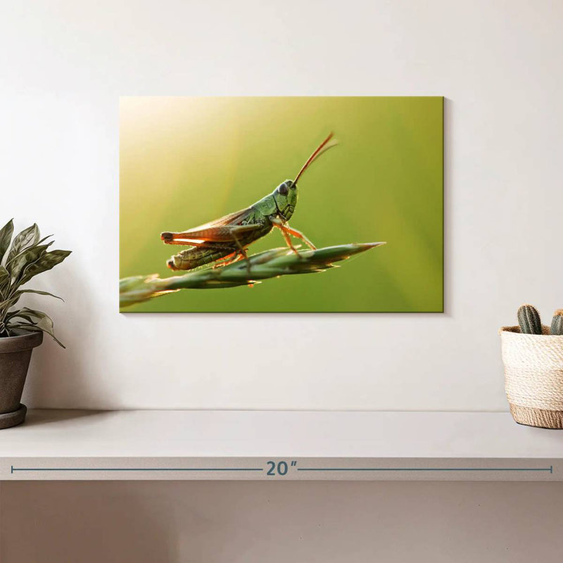 Grasshopper, 8" H x 12" W