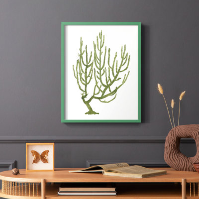 Coral Souvenirs III, reproduction encadrée - bois massif