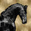«Black Stallion On Gold» par Martin Rose - Impression sur toile tendue sur châssis-20925114
