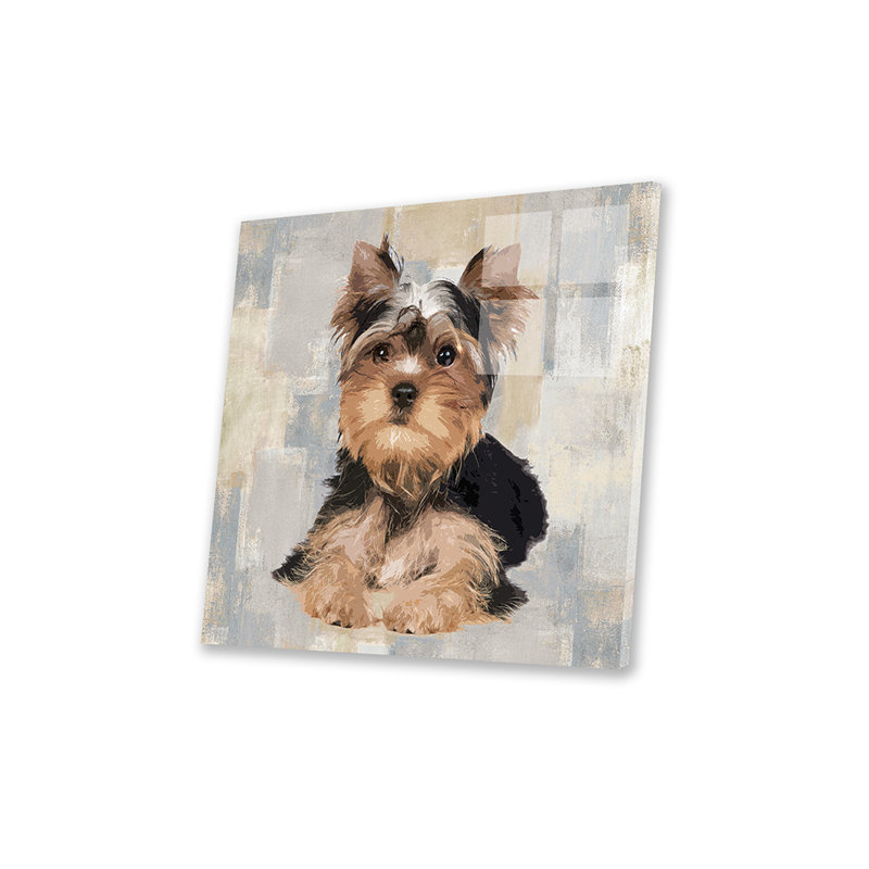 Yorkshire terrier imprimé sur verre acrylique, H 24 po x l 24 po x P 0,25 po