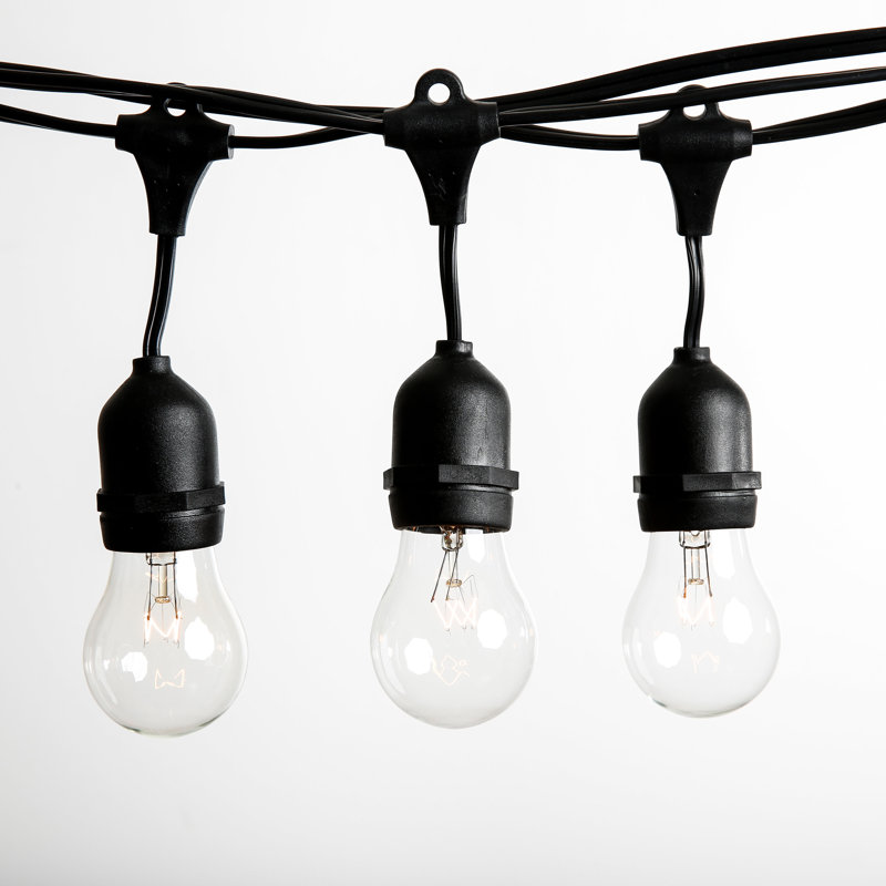 Outdoor 50 - Bulb 100'' Plug-in String Light