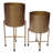 Pot Planter-774159576