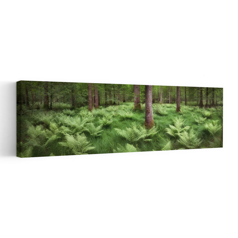 Art mural de forêt fougère sereine, 20" H x 60" W
