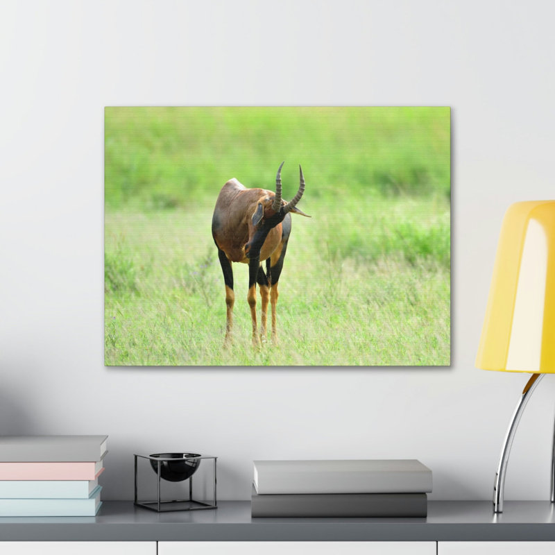 No Frame Print on Canvas, 27.94cm H x 35.56cm W