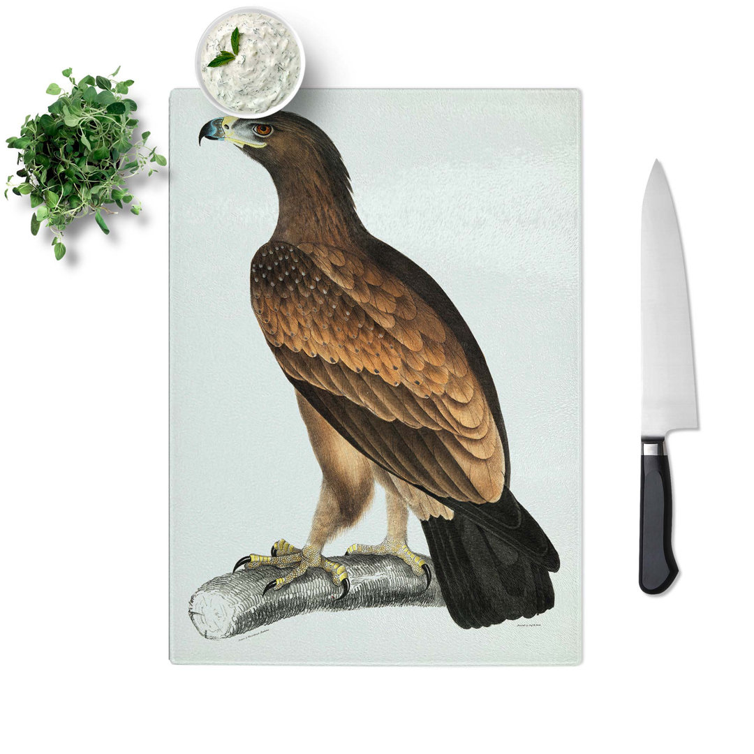 Tempered Glass Eagle Illustration Chopping Board