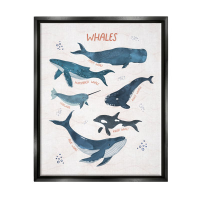 Art nautique sur toile, "Types de baleine narval" par Nina Blue