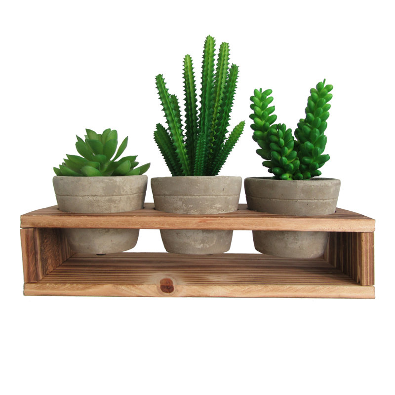 8.7'' Faux Succulent in Pot