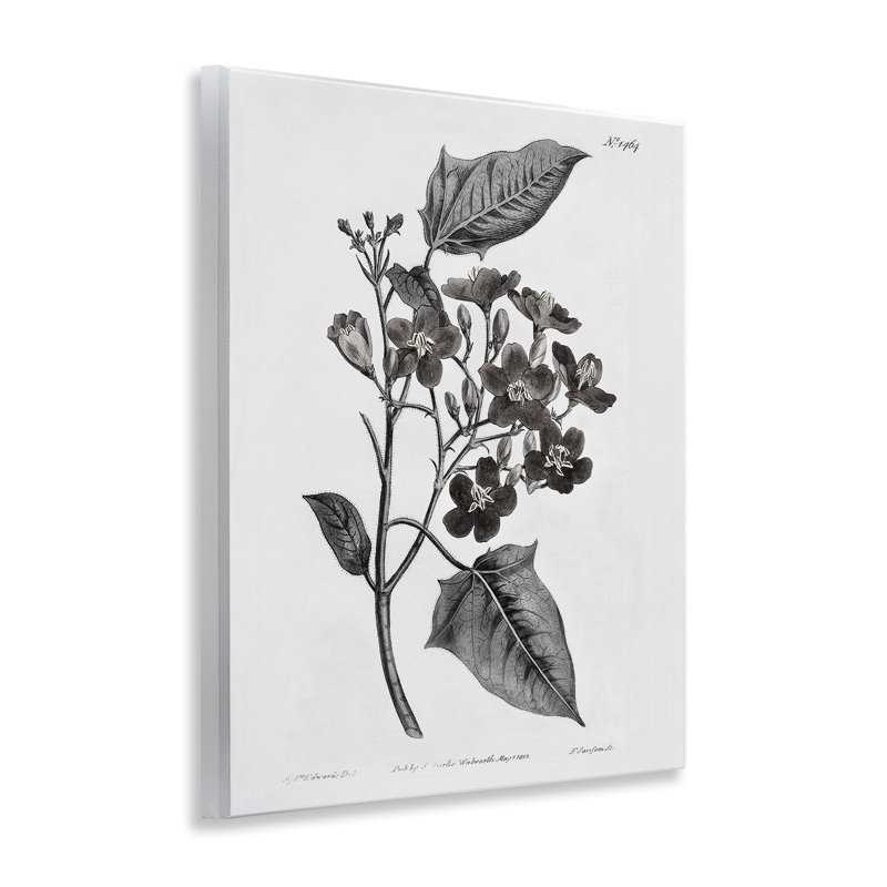 Art mural rétro, "Wild Flower Branch Study", par Kelly Donovan