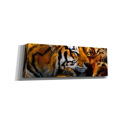 «Latitude Tigers Sleep» par Murray Henderson, reproduction d'art sur toile