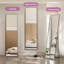 Miroir mural Ishanvi-1197024764-1197024765