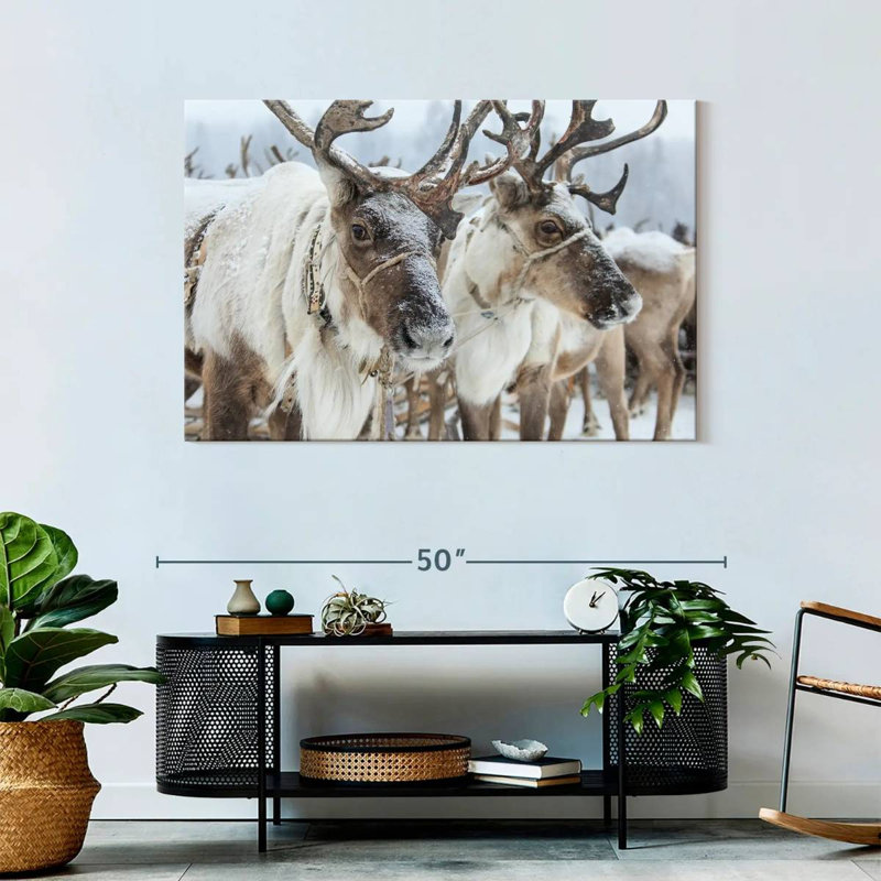 Snow Reindeer, 30" H x 45" W
