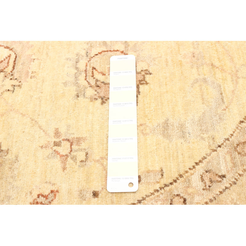Tapis brun clair / beige en laine noué à la main de conception unique nouvel âge 5 pi 0 po Peshawar