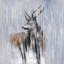 Décoration murale toile bleue «Deer in Rainy Forest»-1766568184