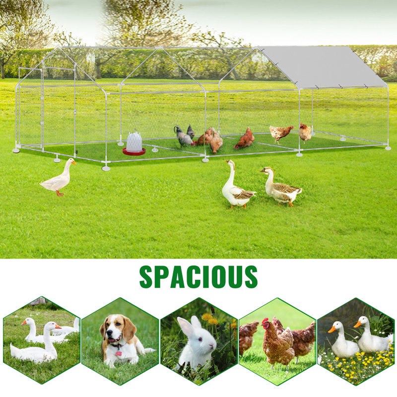 Fullard 188 pieds carrés marche dans un poulailler pour un maximum de 18 poulets
