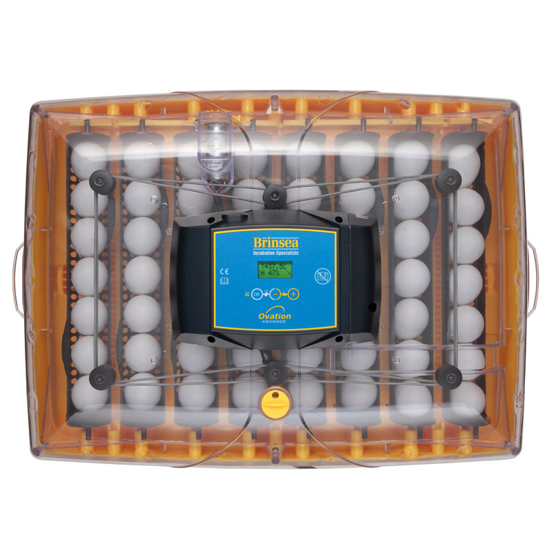 Ovation 56 Yellow and Clear Digital Egg Incubator