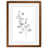 Maple Framed Print selected