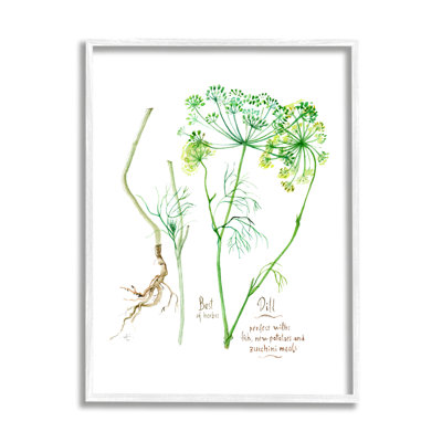 «Dill Greens Best of Herbs», aquarelle de plantes de jardin encadrées, art numérique sur toile par Verbrugge