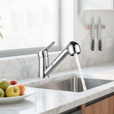 Brayden Studio Kitchen Faucet