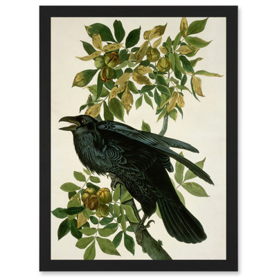 Painting Nature Animal Bird - Single Picture Frame Painting