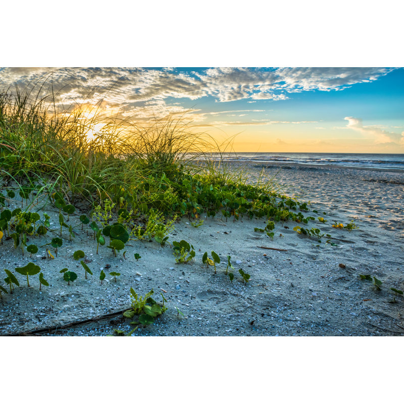 Beach Sand Dunes - Photographie sur toile tendue, L 30 po x H 20 po