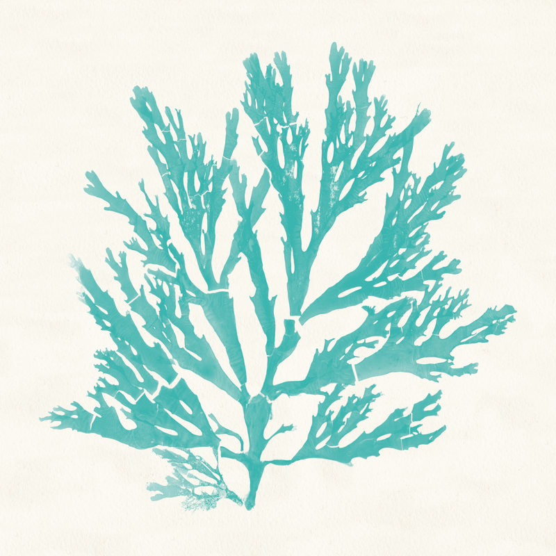 Pacific Sea Mosses I by Wild Apple Portfolio - Wrapped Canvas Painting, 30cm H x 30cm W