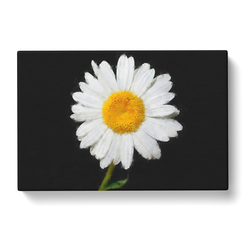 White Daisy Vol.6 - Wrapped Canvas, 40cm H x 60cm W x 3cm D