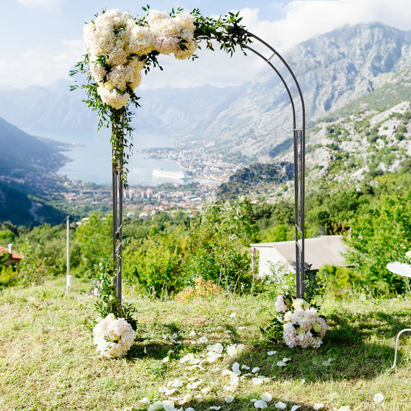Amirie 120cm W x 56cm D Metal Arbour in Black