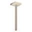 AXOR ShowerSolutions 12-Inch Extension Pipe for Ceiling Mount Shower Heads-1882412194