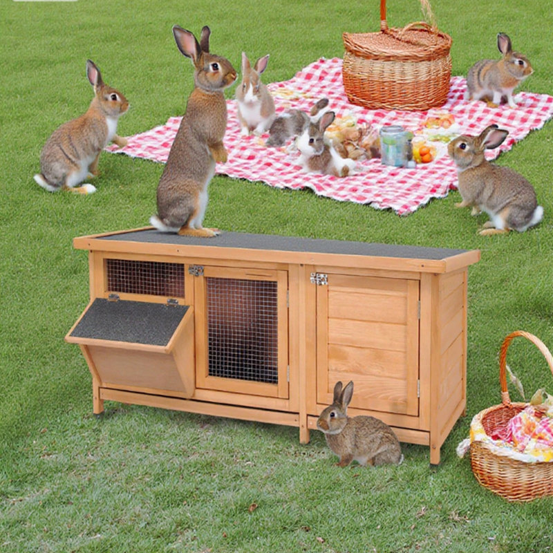 Cage à lapin