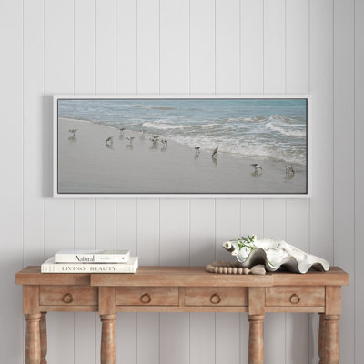 " Shorebirds "