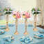 Backdrops & Signs-97872267-97872269