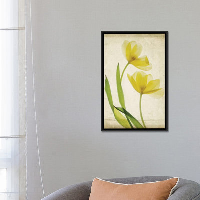 " Parchment Flowers IV " by Judy Stalus