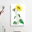 Trumpet Stalked Sunflowers - Wrapped Canvas-55330419