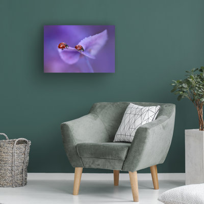 Bolog Ellen Van Deelen Ladybirds On Hydrangea Canvas Art